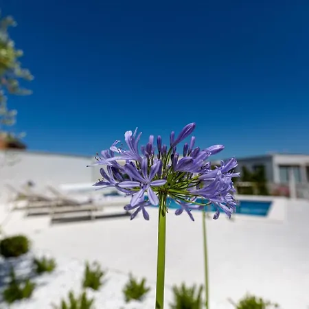 Bianca アパート ヴァンタシチ