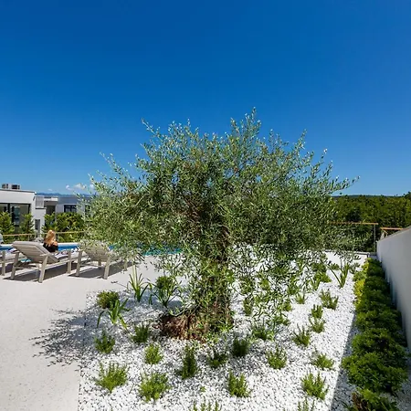 Bianca ヴァンタシチ