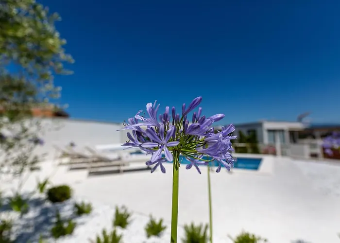 Bianca Apartamento Vantacici